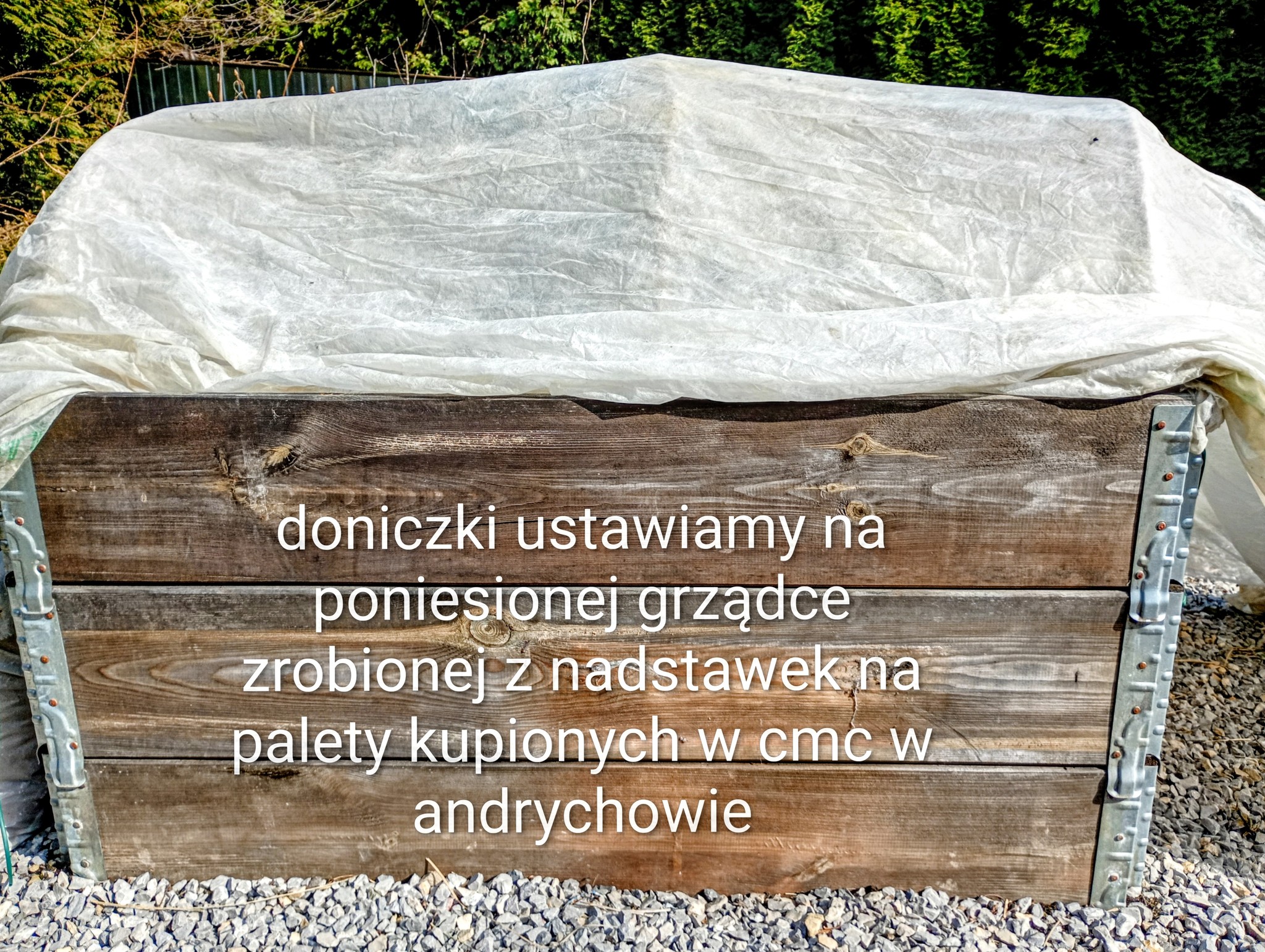Doniczki ustawiamy na poniesionej grządce zrobionej z nadstawek na palety kupionych w CMC w Andrychowie