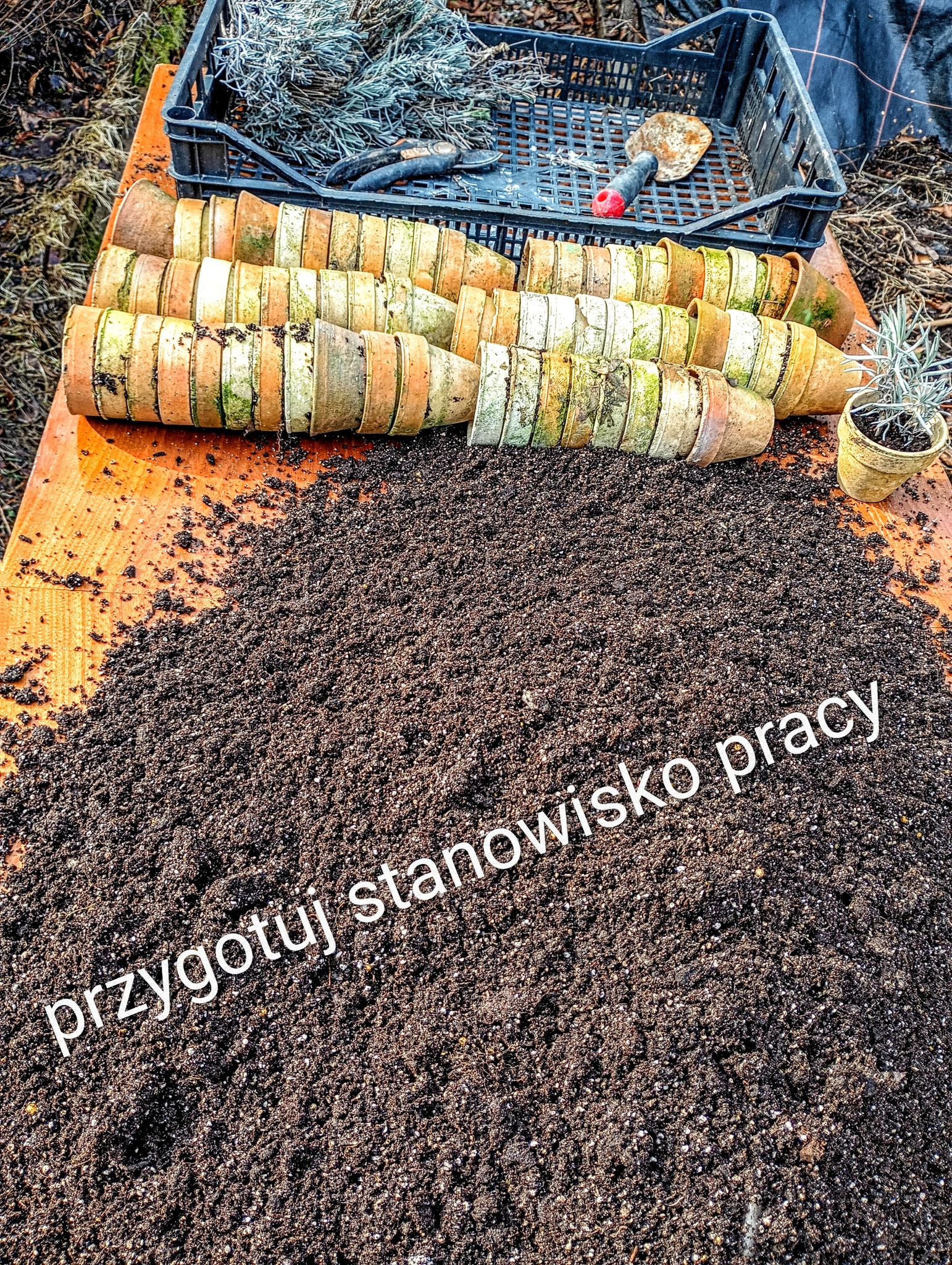 Przygotowane stanowisko pracy – ziemia i doniczki gotowe do sadzenia