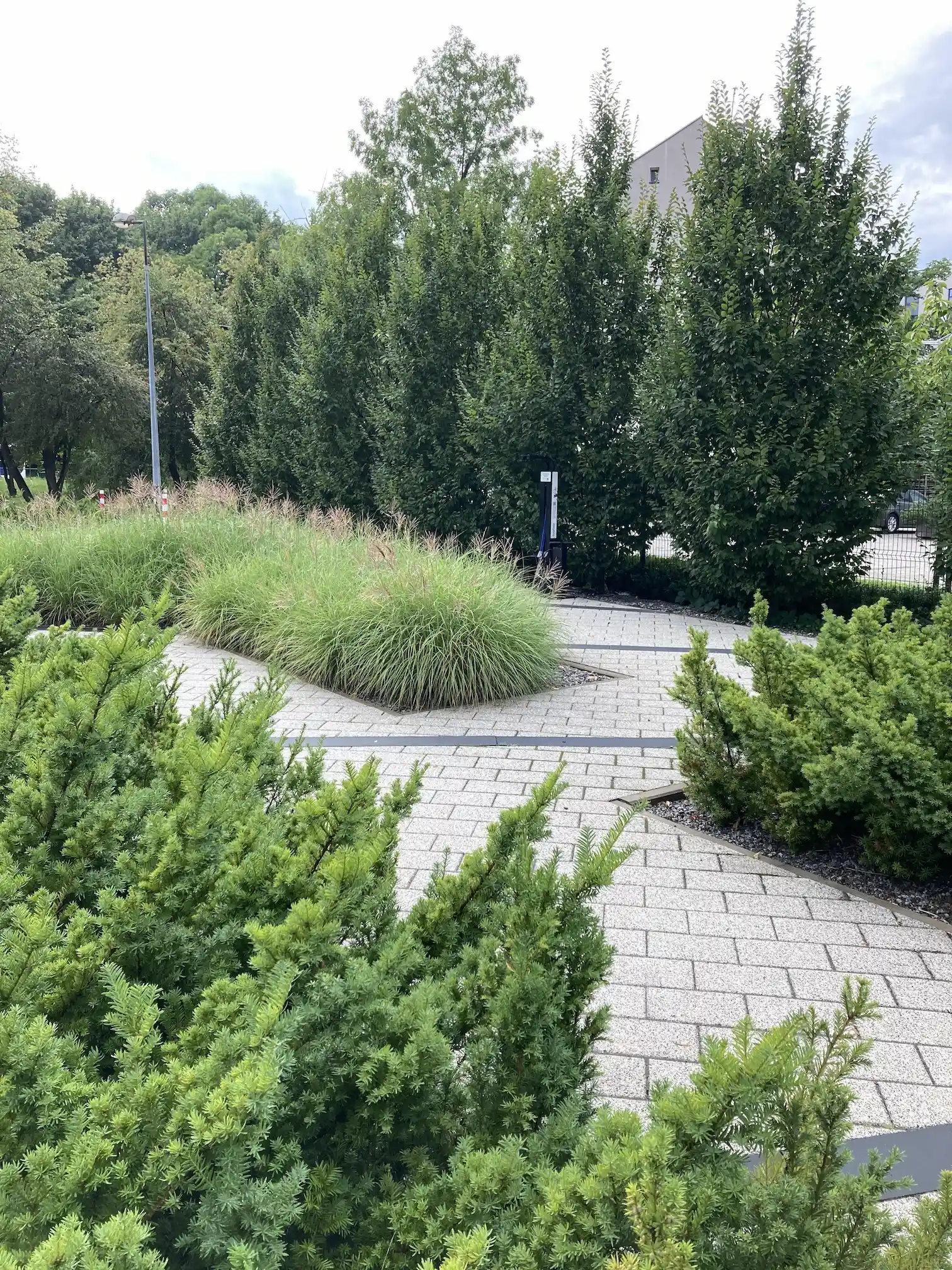 Zieleń miejska - Kraków, rok 2017